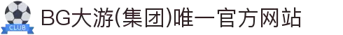BG大游(集团)唯一官方网站